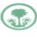 مشاتل العاصمة الحديثة  logo