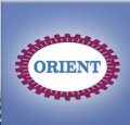 Orient for contracting and trading   logo