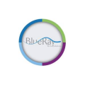 Blue Ray for Web Solutions  logo
