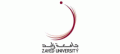 جامعة زايد  logo