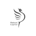 Platinum Capital Co.  logo
