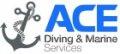 Ace Diving and Marine Services  logo
