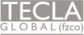Tecla global fzco  logo