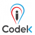 ICodek  logo