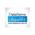 Data Serve  logo