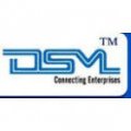 DSM Infocom Pvt Limited  logo