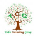 Tedor Consulting Group  logo
