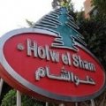 Holw El Sham Industries. S.A.E - Egypt  logo