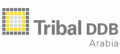 Tribal DDB Arabia  logo