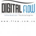Digital Flow  logo