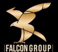 Falconn  logo