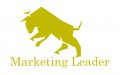 Marketing Leader Co  logo