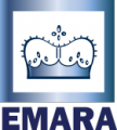 Al - EMARA Group  logo