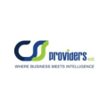 CSS Providers  logo