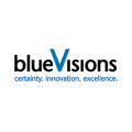 blueVisions Management LLC  logo