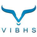VIBHS DMCC  logo