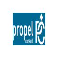 Propel Consult  logo