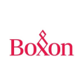 Boxon Brand Visionaries  logo