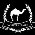 WHITE CAMEL TRADING & CONT. W.L.L  logo