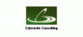 Cybernetic-Consulting.com  logo