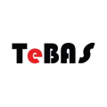 TEBAS  logo