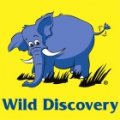 Wild Discovery  logo