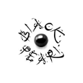 Black Pearl Int'l Corp  logo