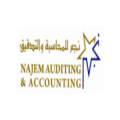 Najem For Auditing & Accounting  logo
