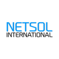 NETSOL INTERNATIONAL LLC  logo