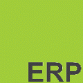 ERP Consultancy Services  logo