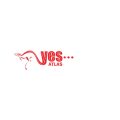 Yes Atlas Group  logo