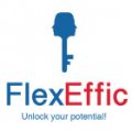 Flex Effic HR Consulting  logo