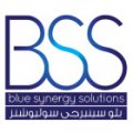 Blue Synergy Solutions  logo