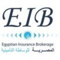المصرية للوساطه التأمينية  logo