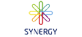 Synergy  logo