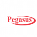 Pegasus International Computer Co.W.L.L  logo