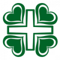 مؤسسة التنسيق الطبي لتنسيق الخدمات العلاجيه  logo