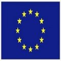  Delegation of the European Union to the Hashemite Kingdom of Jordan   logo