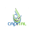 Capital Technical Service & Trading Est  logo