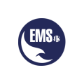 Eagle Management Services LLC  logo