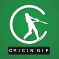 Cricingif  logo