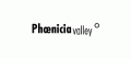 Phoenicia Valley  logo