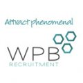 WPB International Recruitment  logo