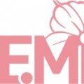 E.Mi International  logo