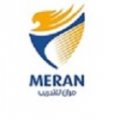Meran Training LLC  logo