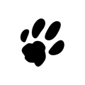 Creative Advertising Thinking (CAT)  logo