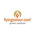 Flying Colour Business Setup Services   logo