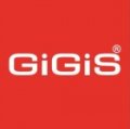 GiGiS International L.L.C  logo