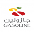 Gasoline Petroleum Services Co  logo