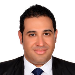 هيثم خضير, Executive Director
